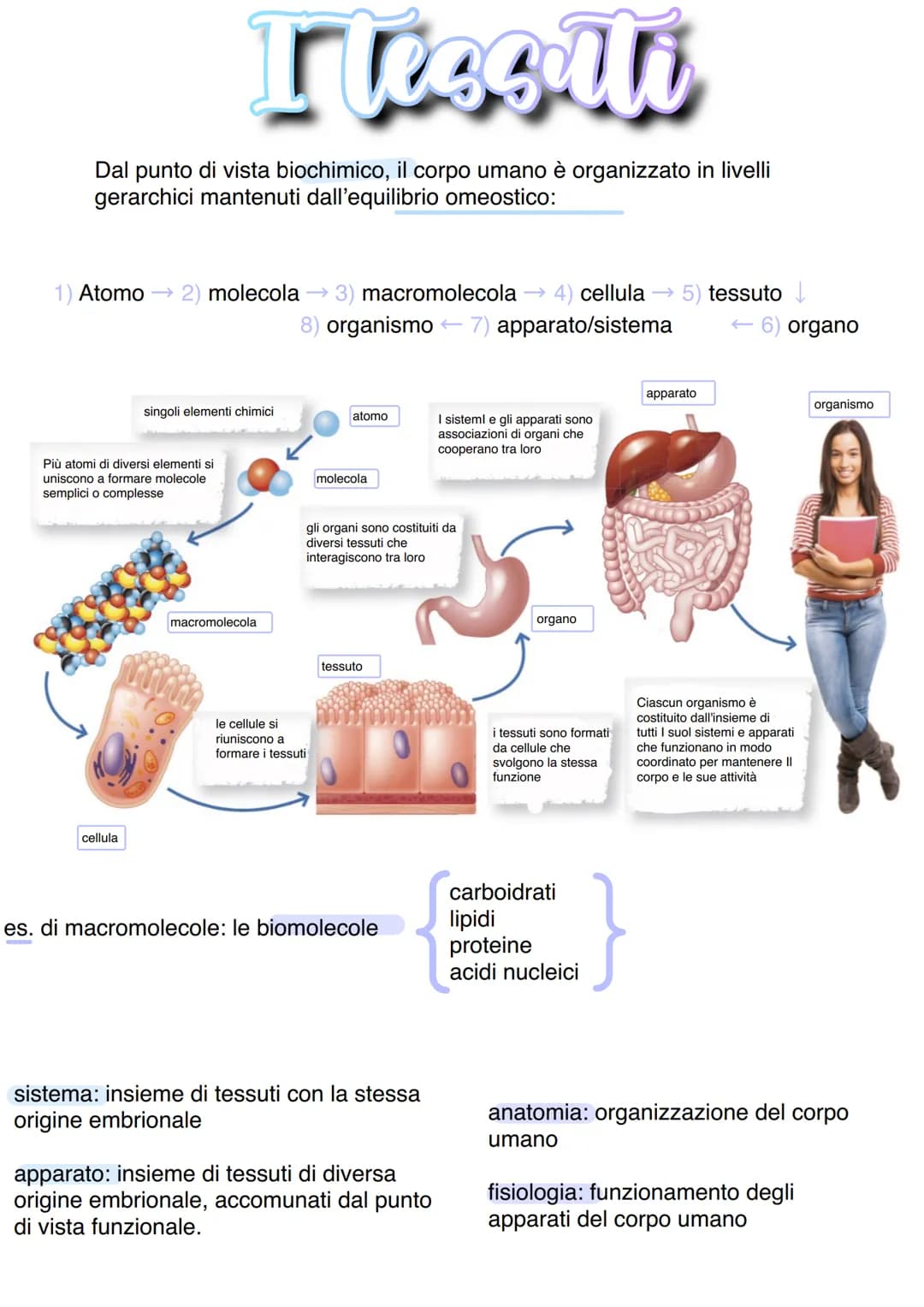 Llessuti
Dal punto di vista biochimico, il corpo umano è organizzato in livelli
gerarchici mantenuti dall'equilibrio omeostico:
1) Atomo → 2