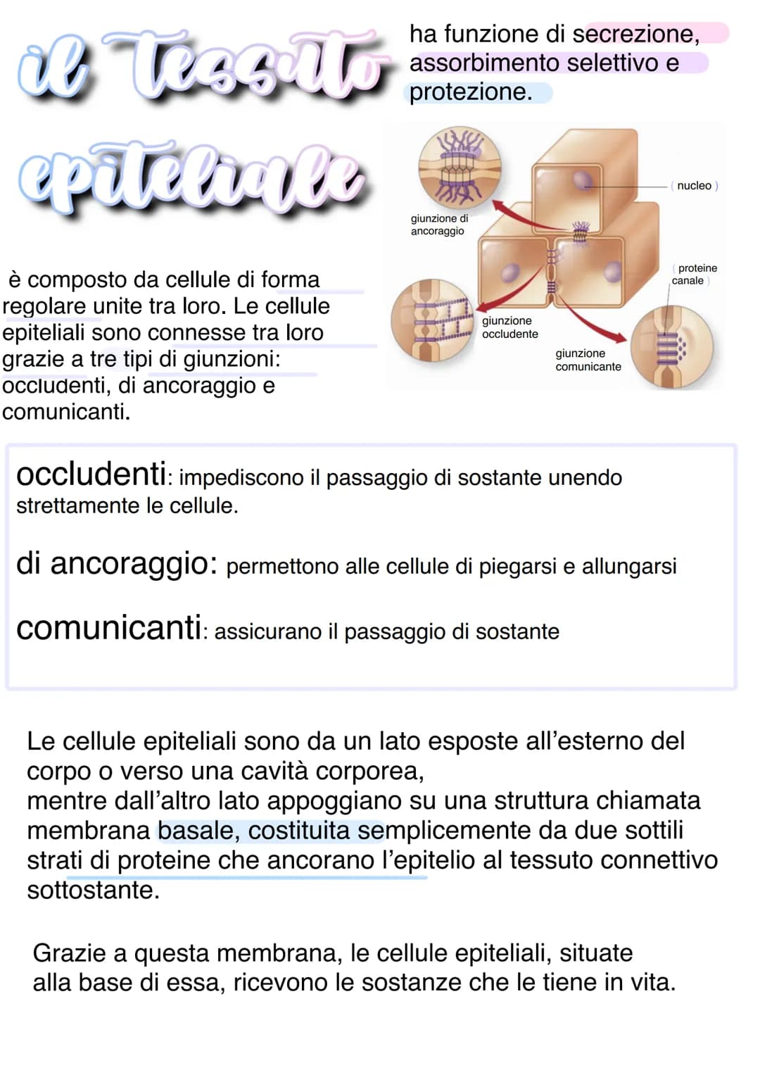 Llessuti
Dal punto di vista biochimico, il corpo umano è organizzato in livelli
gerarchici mantenuti dall'equilibrio omeostico:
1) Atomo → 2