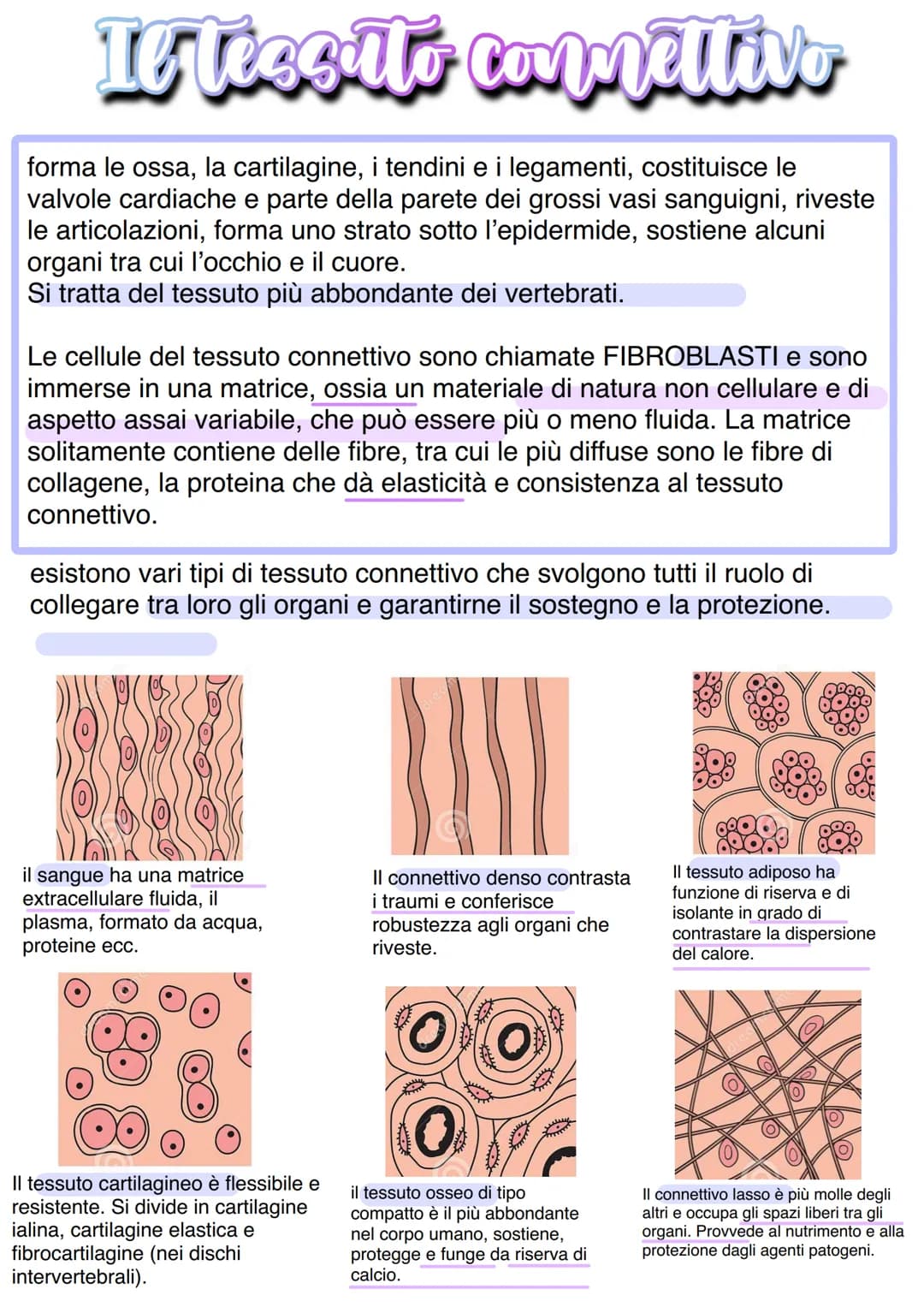 Llessuti
Dal punto di vista biochimico, il corpo umano è organizzato in livelli
gerarchici mantenuti dall'equilibrio omeostico:
1) Atomo → 2