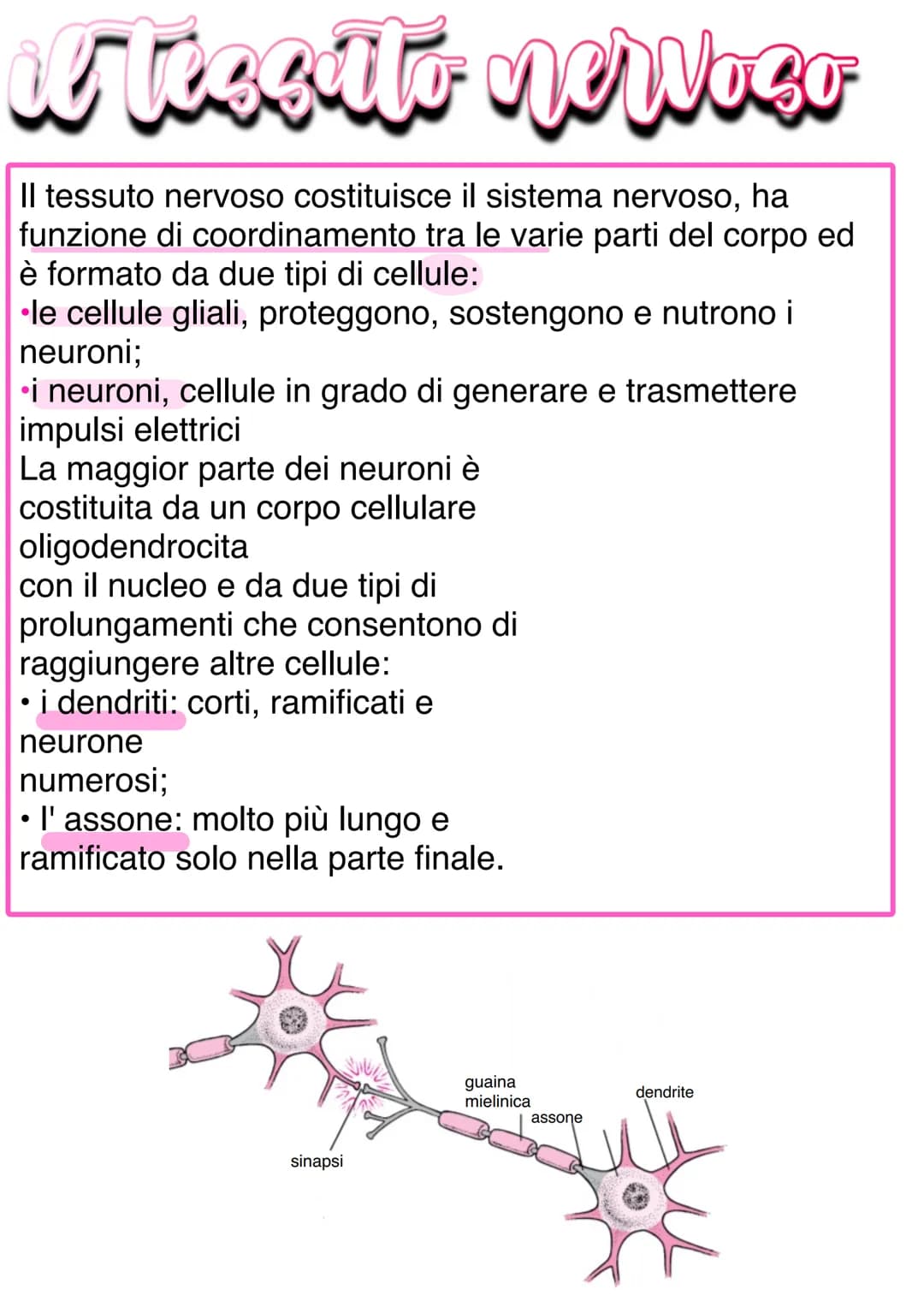 Llessuti
Dal punto di vista biochimico, il corpo umano è organizzato in livelli
gerarchici mantenuti dall'equilibrio omeostico:
1) Atomo → 2