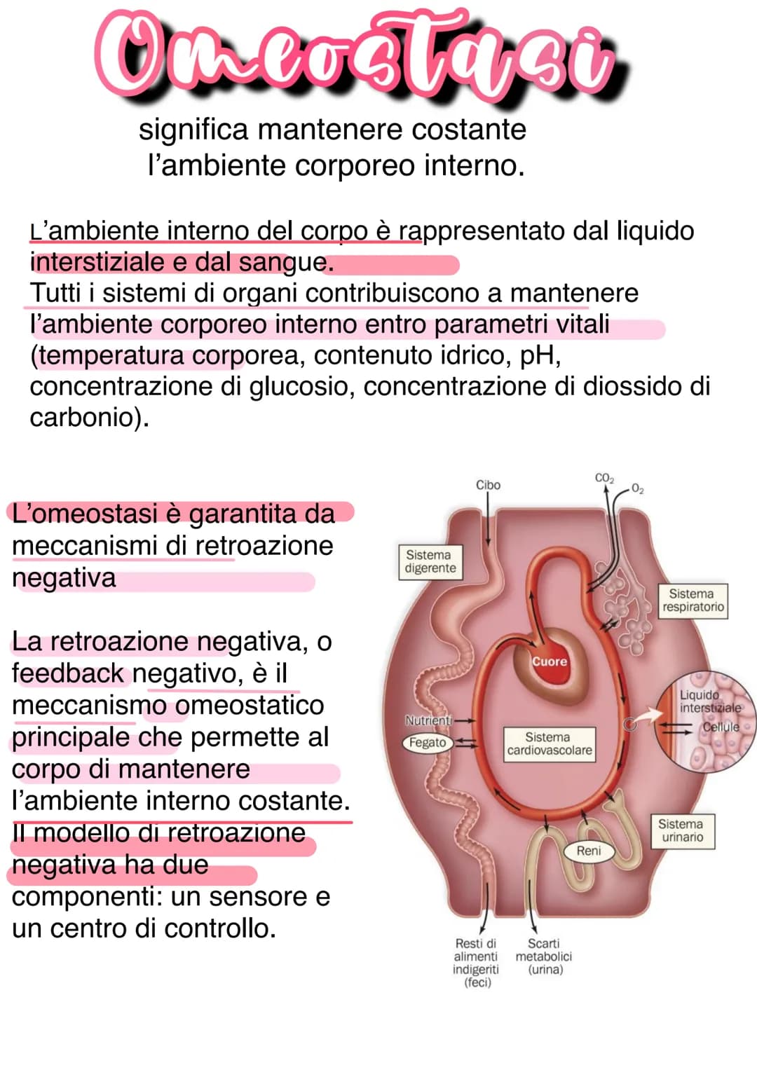 Llessuti
Dal punto di vista biochimico, il corpo umano è organizzato in livelli
gerarchici mantenuti dall'equilibrio omeostico:
1) Atomo → 2