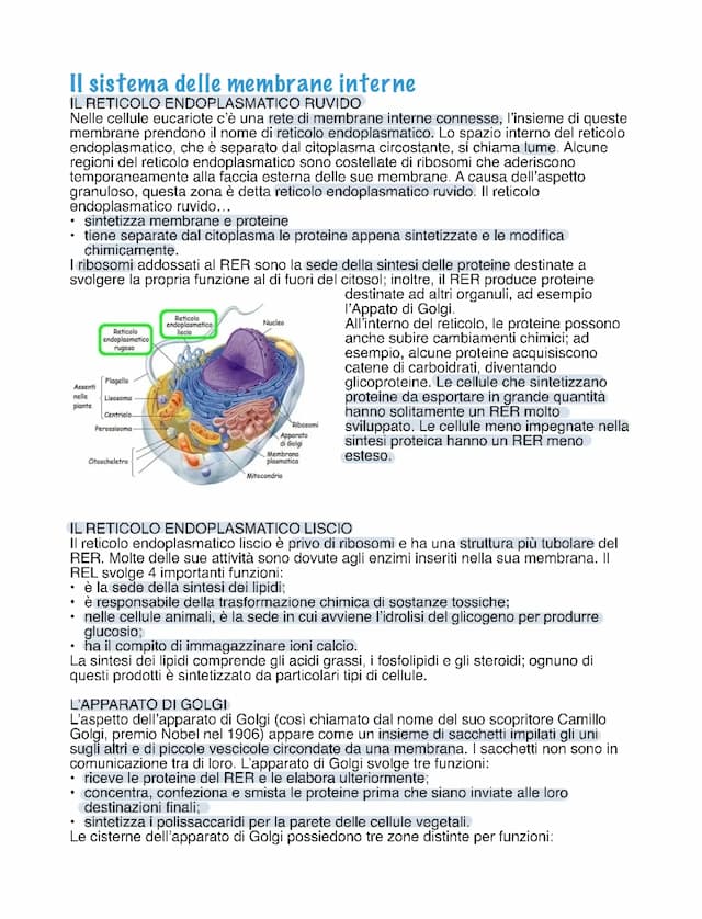 Know il sistema delle membrane interne🧪 thumbnail