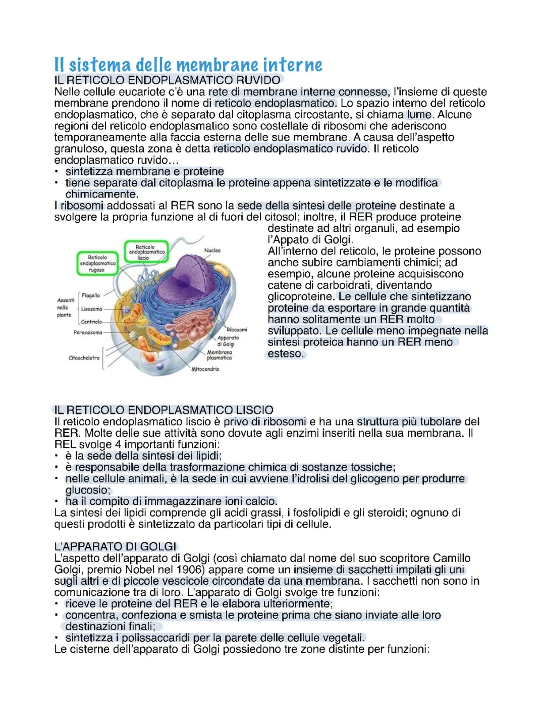 il sistema delle membrane interne🧪