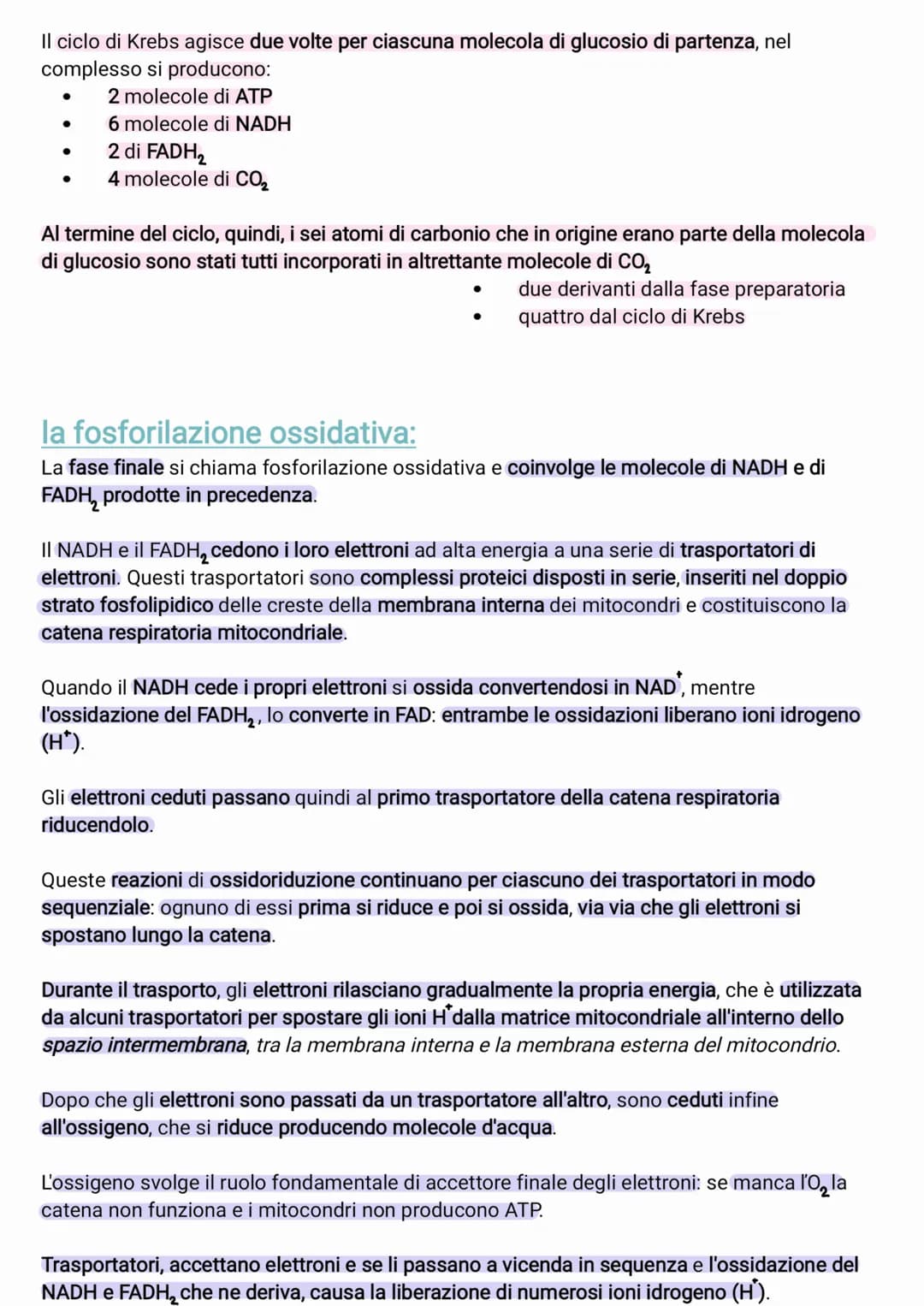 ●
●
●
●
il glucosio è una molecola che ha un contenuto energetico elevato
C₂H₂O +60₂6CO₂ + 6H₂O +energia
I processi metabolici più important