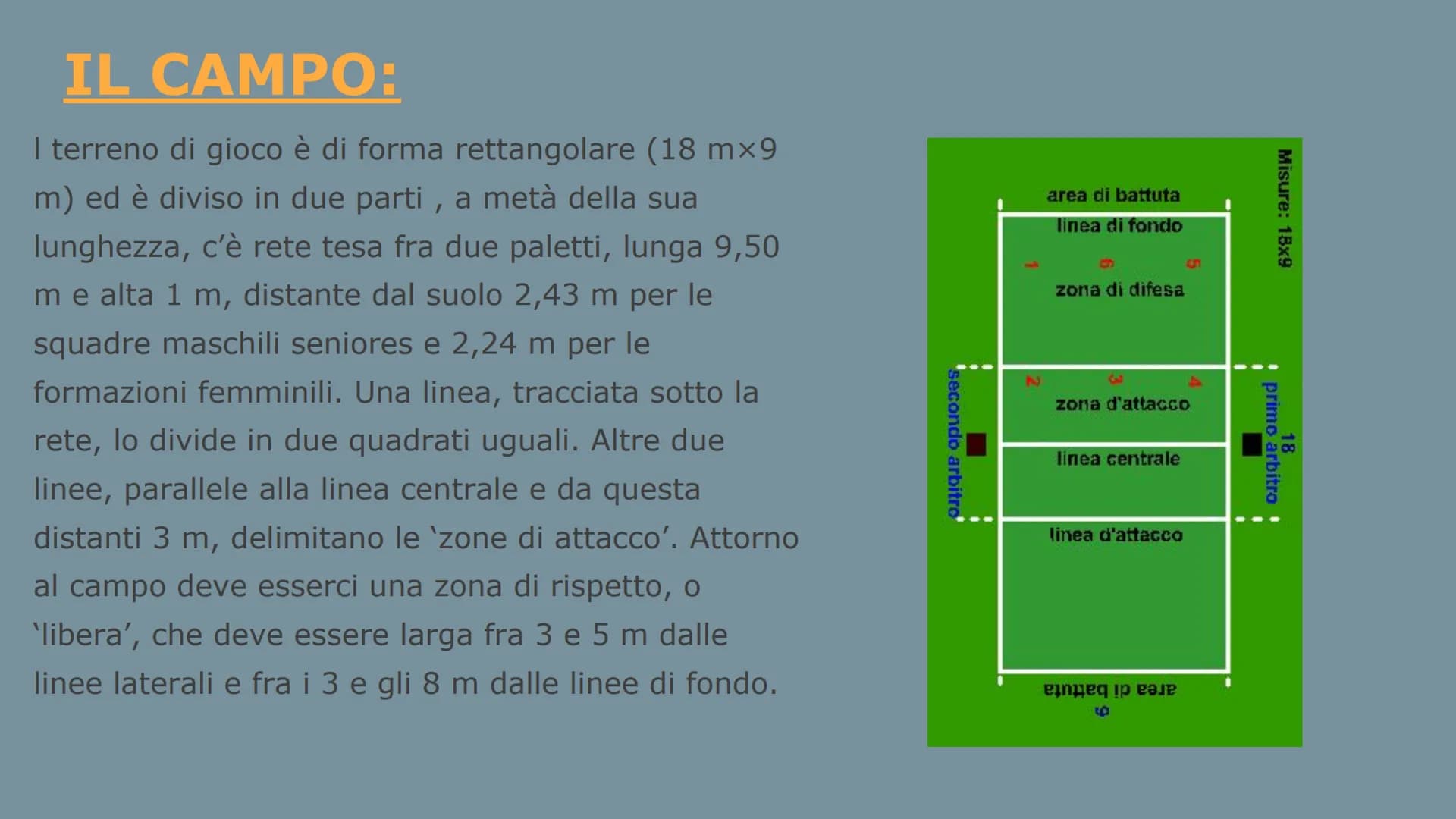 Arianna Sciclis
LA PALLAVOLO La pallavolo, chiamata anche volley, è uno sport che si svolge tra due squadre di 6
giocatori ciascuna. Lo scop