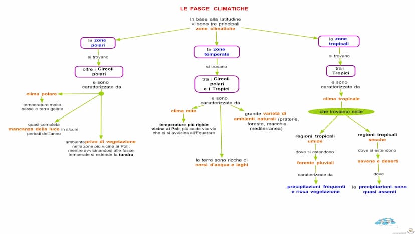 LE ZONE ASTRONOMICHE
Polo nod
LE FASCE CLIMATICHE ei
DIVERSI BIOMI
Cicolo Flare Artico
ZONA TEMPERATA BOREALS
Tropico del Cana
ZONA TORRIDA
