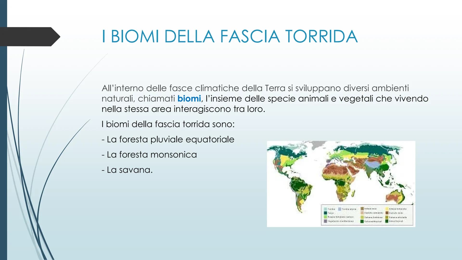 LE ZONE ASTRONOMICHE
Polo nod
LE FASCE CLIMATICHE ei
DIVERSI BIOMI
Cicolo Flare Artico
ZONA TEMPERATA BOREALS
Tropico del Cana
ZONA TORRIDA
