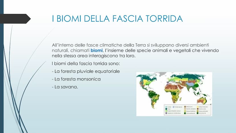 LE ZONE ASTRONOMICHE
Polo nod
LE FASCE CLIMATICHE ei
DIVERSI BIOMI
Cicolo Flare Artico
ZONA TEMPERATA BOREALS
Tropico del Cana
ZONA TORRIDA
