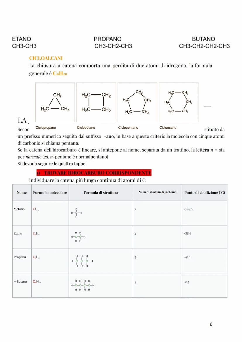 Energia
CHIMICA ORGANICA
→ Indagare la composizione e l'organizzazione della materia vivente
→ tutti i composti contenenti CARBONIO (C) sono