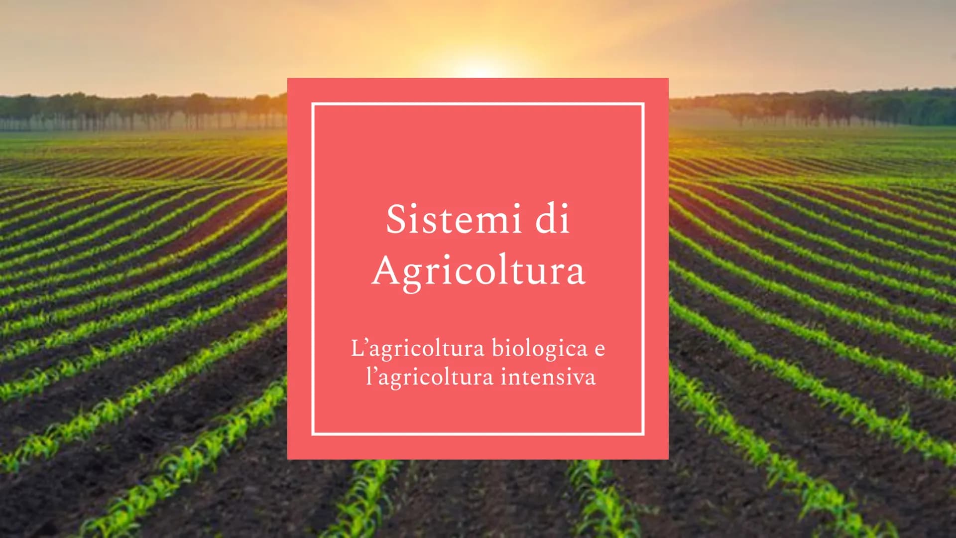 *29
Sistemi di
Agricoltura
L'agricoltura biologica
l'agricoltura intensiva Agricoltura Biologica
L'agricoltura biologica è un metodo agricol