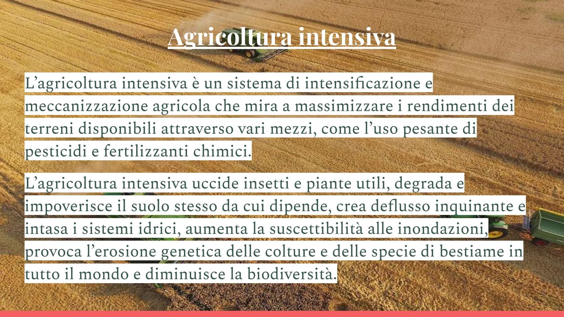 *29
Sistemi di
Agricoltura
L'agricoltura biologica
l'agricoltura intensiva Agricoltura Biologica
L'agricoltura biologica è un metodo agricol