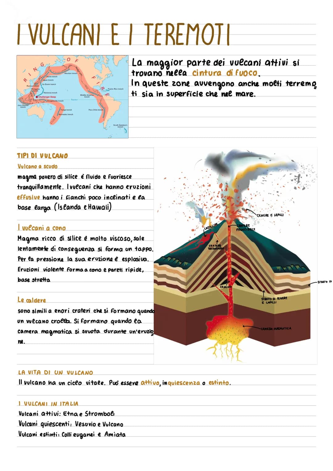 I VULCANI E I TEREMOTI
N
Japan trench
Challenger Deep
Bougainville trench
O
Equator
Tonga trench
Kamadec trench
trench
Per-Chile trench
Puer