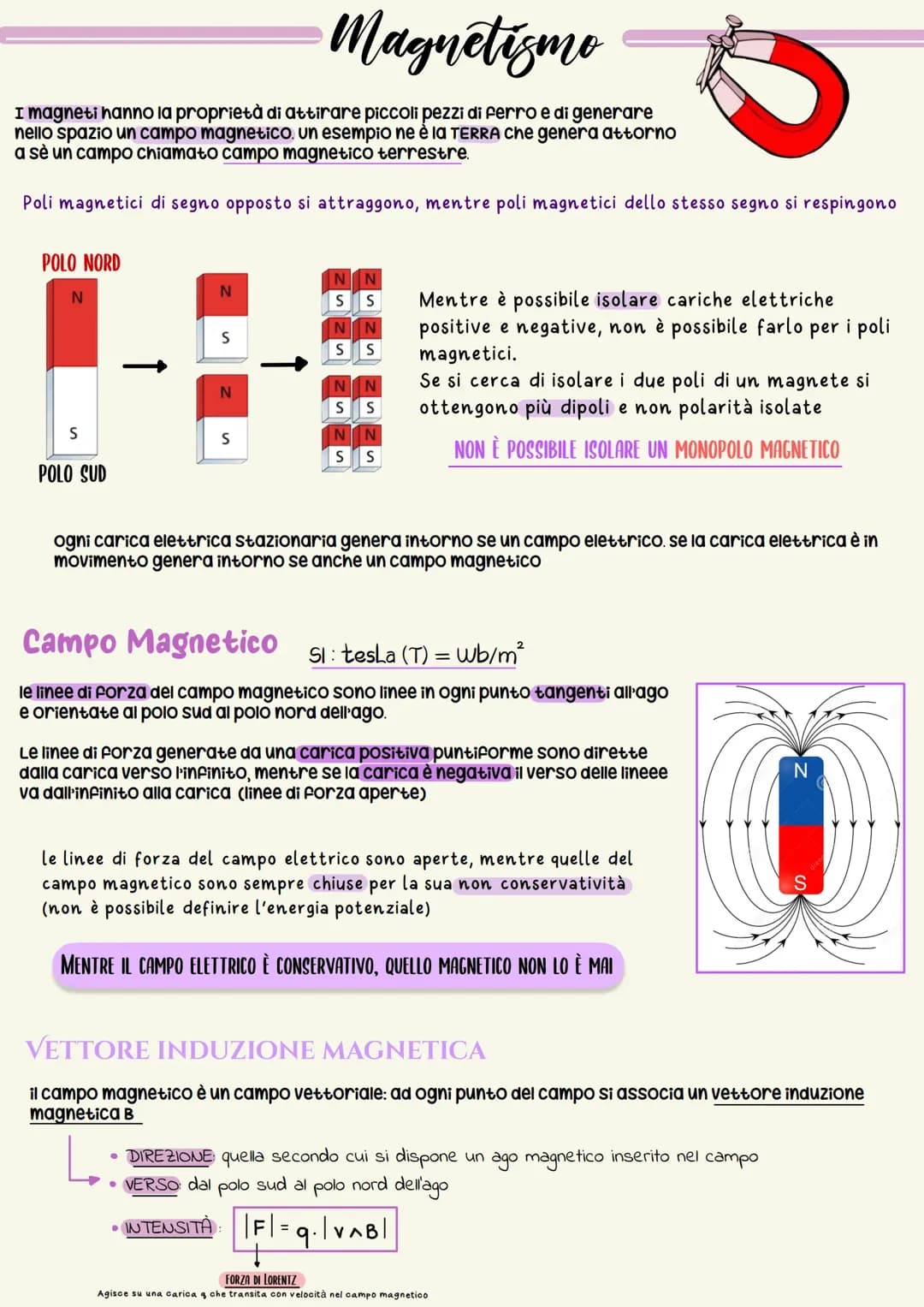 MAGNETISMO