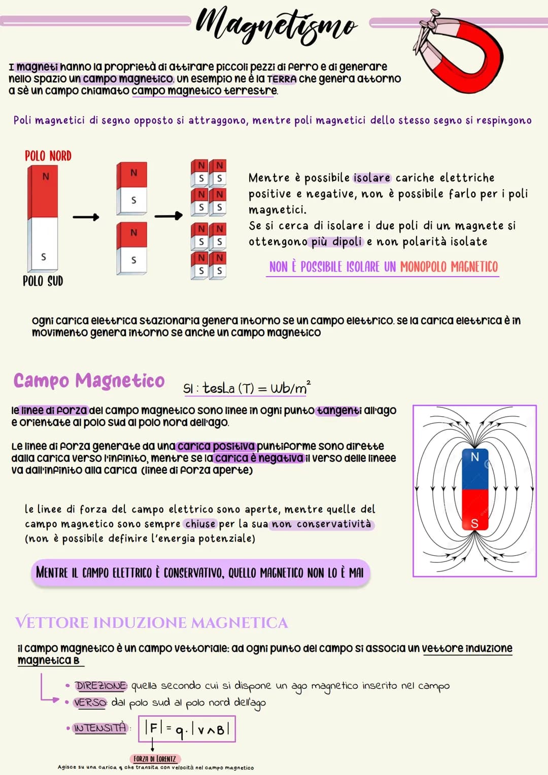 •Magnetismo
I magneti hanno la proprietà di attirare piccoli pezzi di ferro e di generare
nello spazio un campo magnetico. Un esempio ne è l