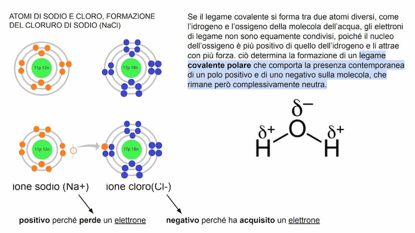 GLI ATOMI E I LEGAMI CONDIVISI
Tutta la materia è costituita dalla combinazione di
più elementi chimici. L'atomo è la parte più piccola
di u
