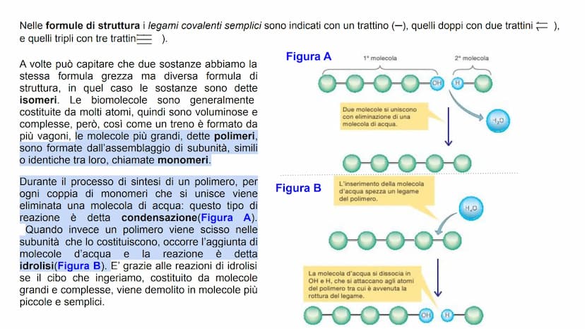 GLI ATOMI E I LEGAMI CONDIVISI
Tutta la materia è costituita dalla combinazione di
più elementi chimici. L'atomo è la parte più piccola
di u