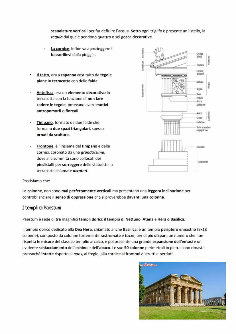 L'ARTE GRECA
Il tempio e le sue tipologie
L'arte greca è caratterizzata dalla struttura architettonica del tempio, la casa terrena degli dei