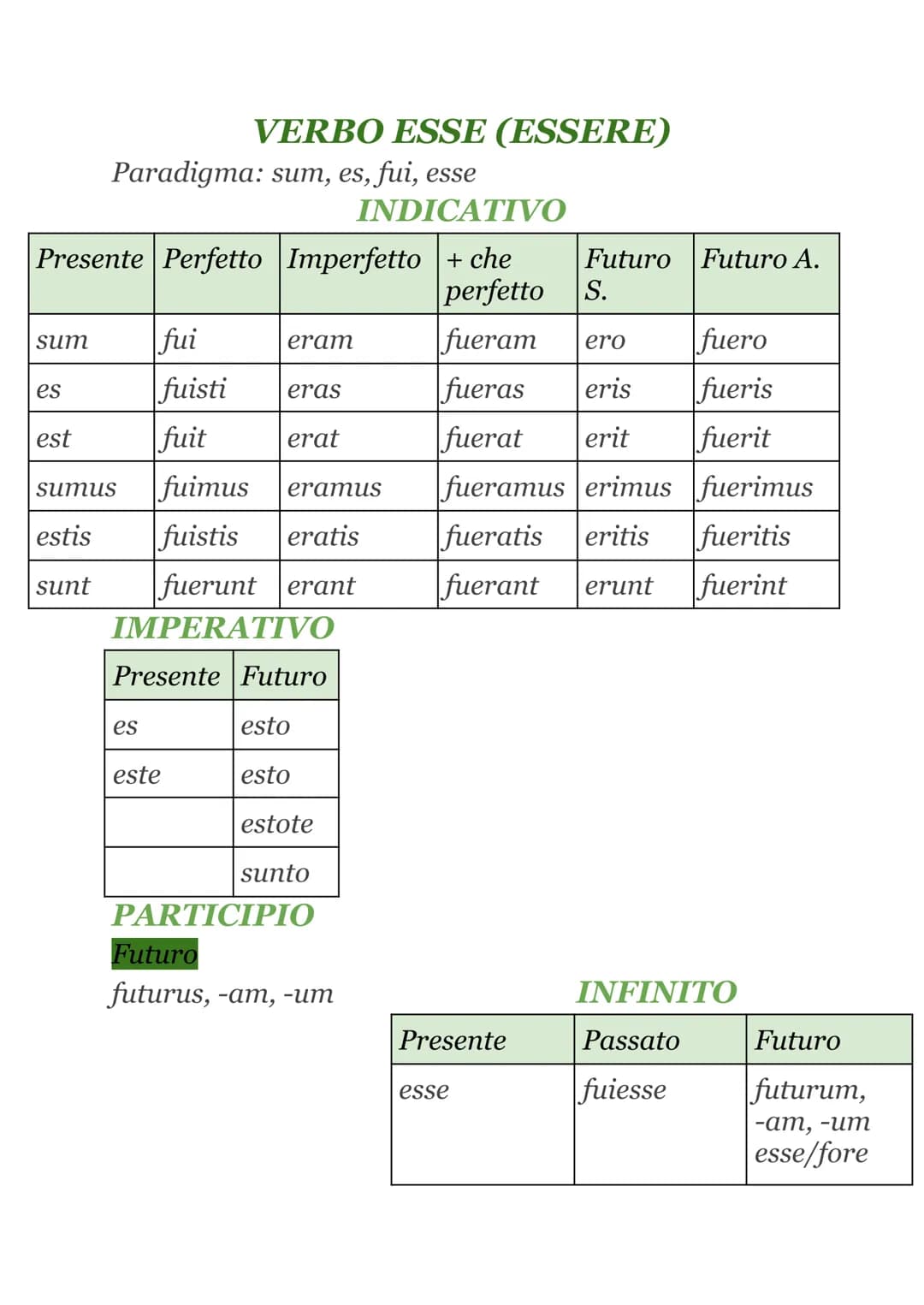 TEMPI E MODI VERBALI
• FLESSIONE VERBALE
Il verbo latino
es. AMABANT
si flette
in base a
Tema radice+vocale tematica
➤ Suffisso temporale
➤ 