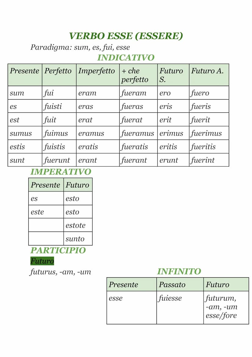 TEMPI E MODI VERBALI
• FLESSIONE VERBALE
Il verbo latino
es. AMABANT
si flette
in base a
Tema radice+vocale tematica
➤ Suffisso temporale
➤ 