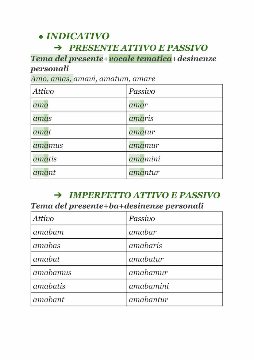 TEMPI E MODI VERBALI
• FLESSIONE VERBALE
Il verbo latino
es. AMABANT
si flette
in base a
Tema radice+vocale tematica
➤ Suffisso temporale
➤ 