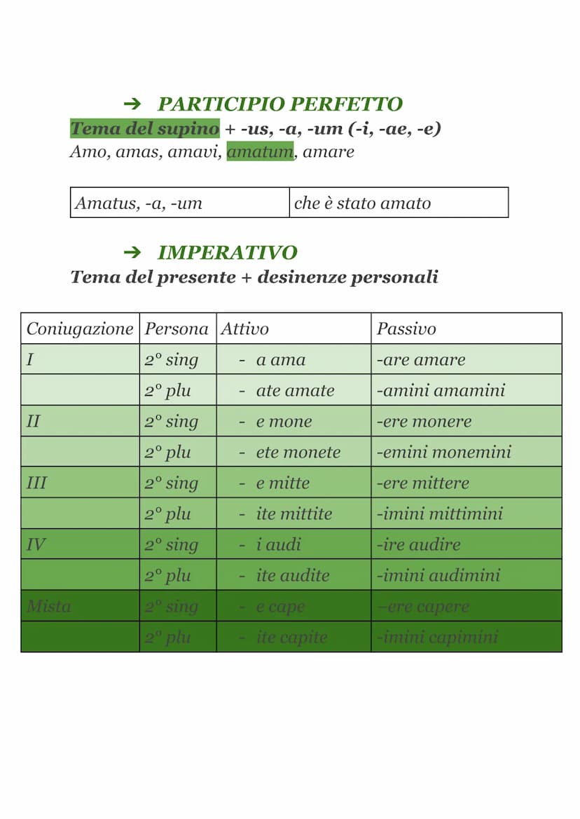 TEMPI E MODI VERBALI
• FLESSIONE VERBALE
Il verbo latino
es. AMABANT
si flette
in base a
Tema radice+vocale tematica
➤ Suffisso temporale
➤ 