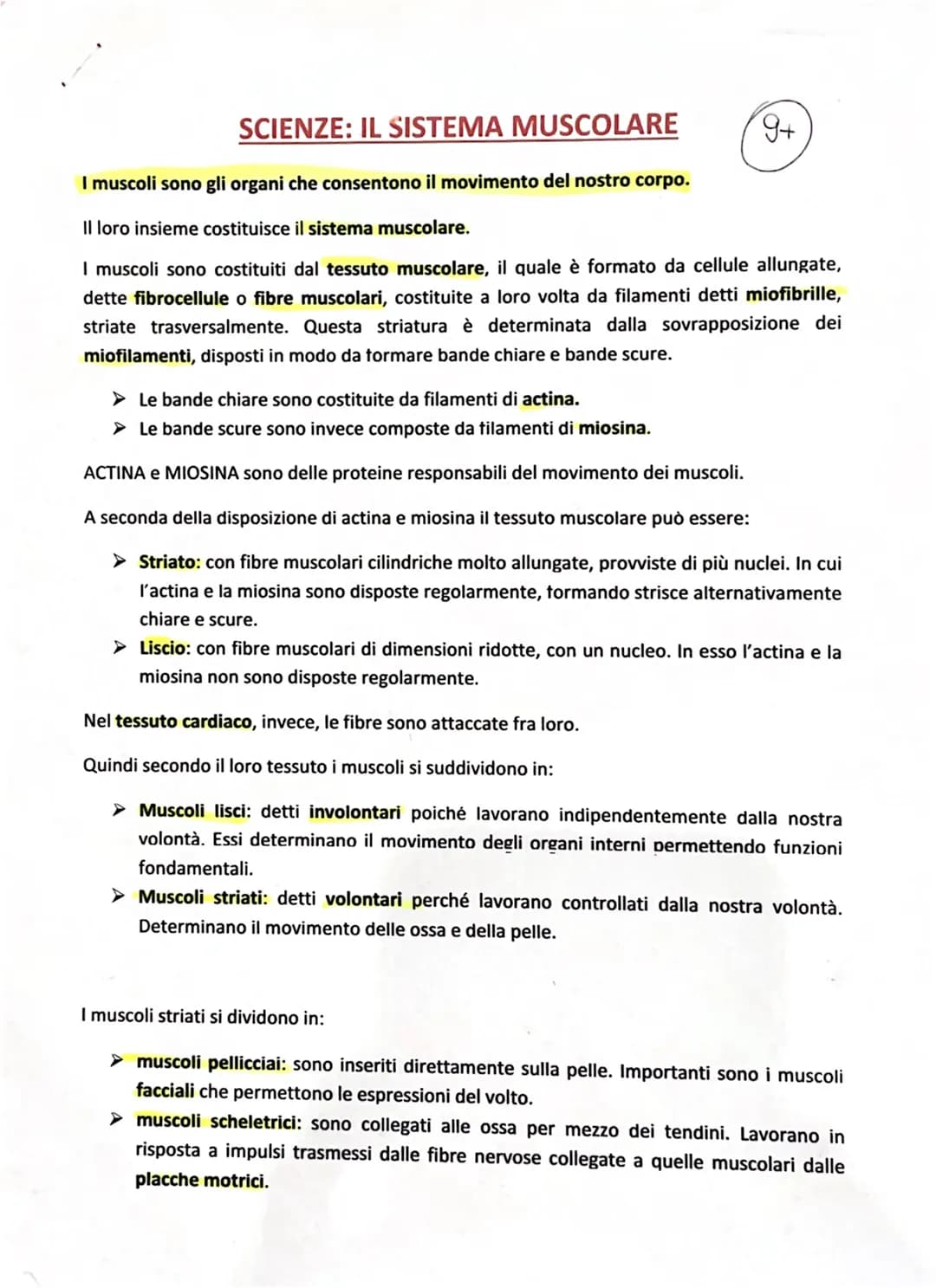 
<p>I muscoli sono gli organi che consentono il movimento del nostro corpo, e il loro insieme costituisce il sistema muscolare. Questo siste