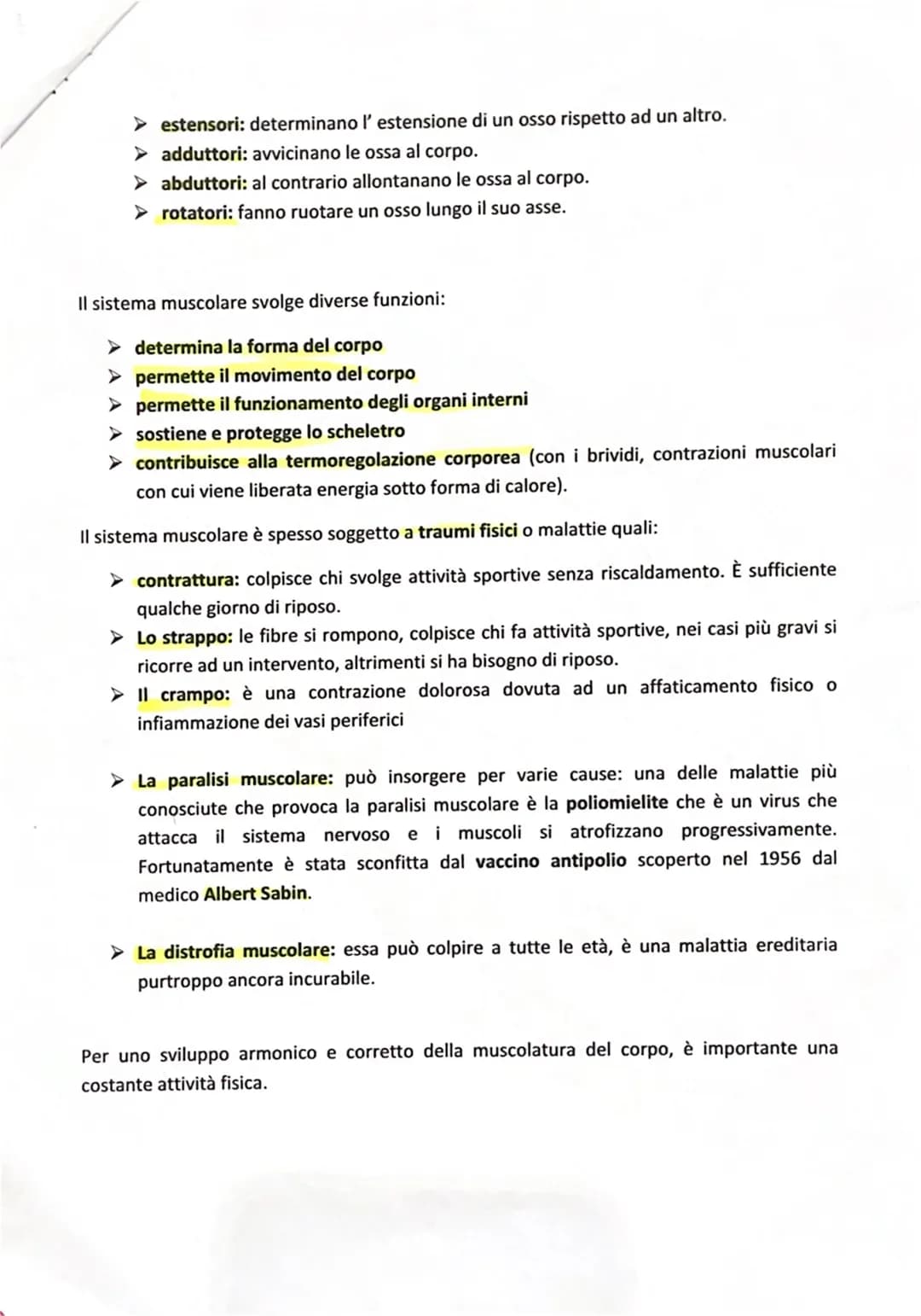 Tutto sui muscoli: riassunto e tabella del corpo umano