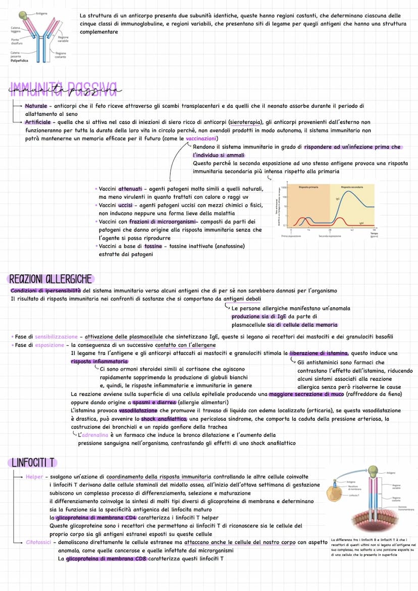 gistema linfatica
(₂ Sistema di vasi, separato da quello sanguigno
Funzioni principali mantenere costante la presenza di liquidi e di soluti