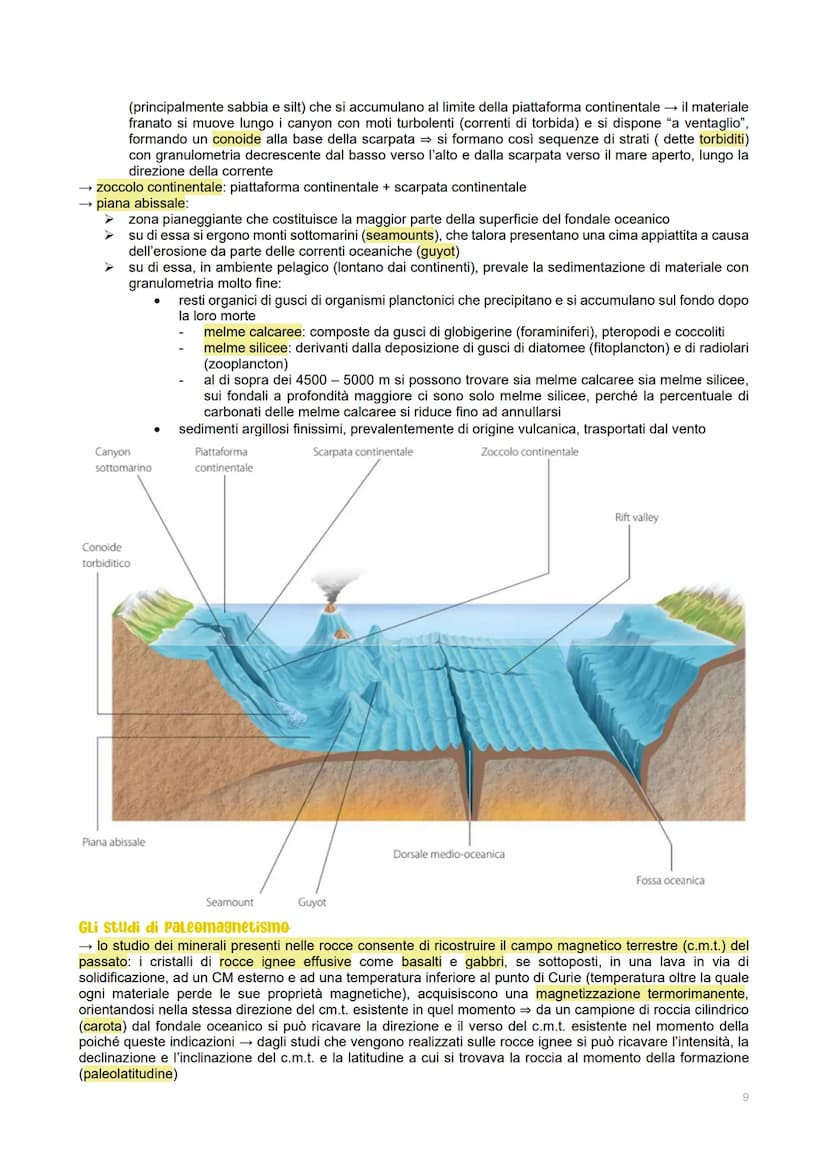 A
L'importanza delle onde sismiche
→ tramite lo studio dei sismogrammi degli eventi sismici naturali e artificiali, è possibile ricostruire 
