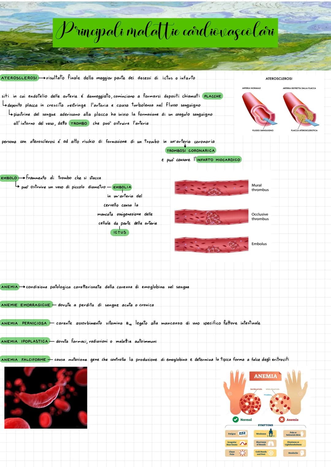 SISTEMA CHIUSO sangue si muove all'interno dei vasi sanguigni e
3 TIPI VASI SANGUIGNI
2 CIRCOLAZIONI
Apparato cardiovascolare
ARTERIEvasi ch