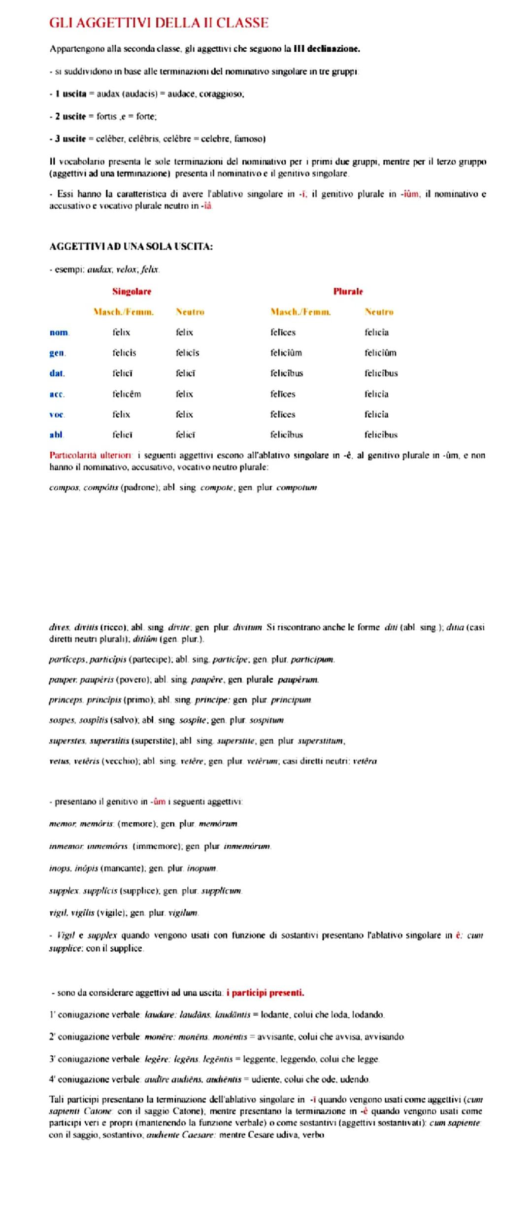 Gli Aggettivi della Seconda Classe in Latino