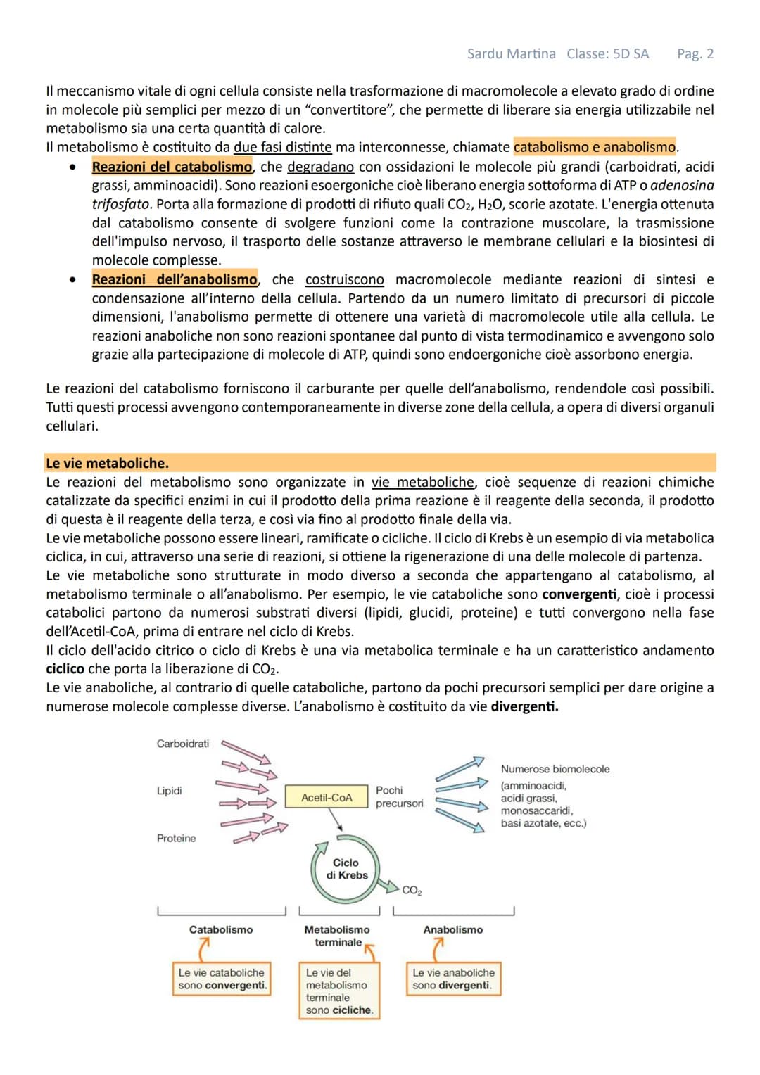 IL METABOLISMO
Gli organismi viventi sono costituiti da cellule in queste strutture avvengono continuamente reazioni tra
specie chimiche mol