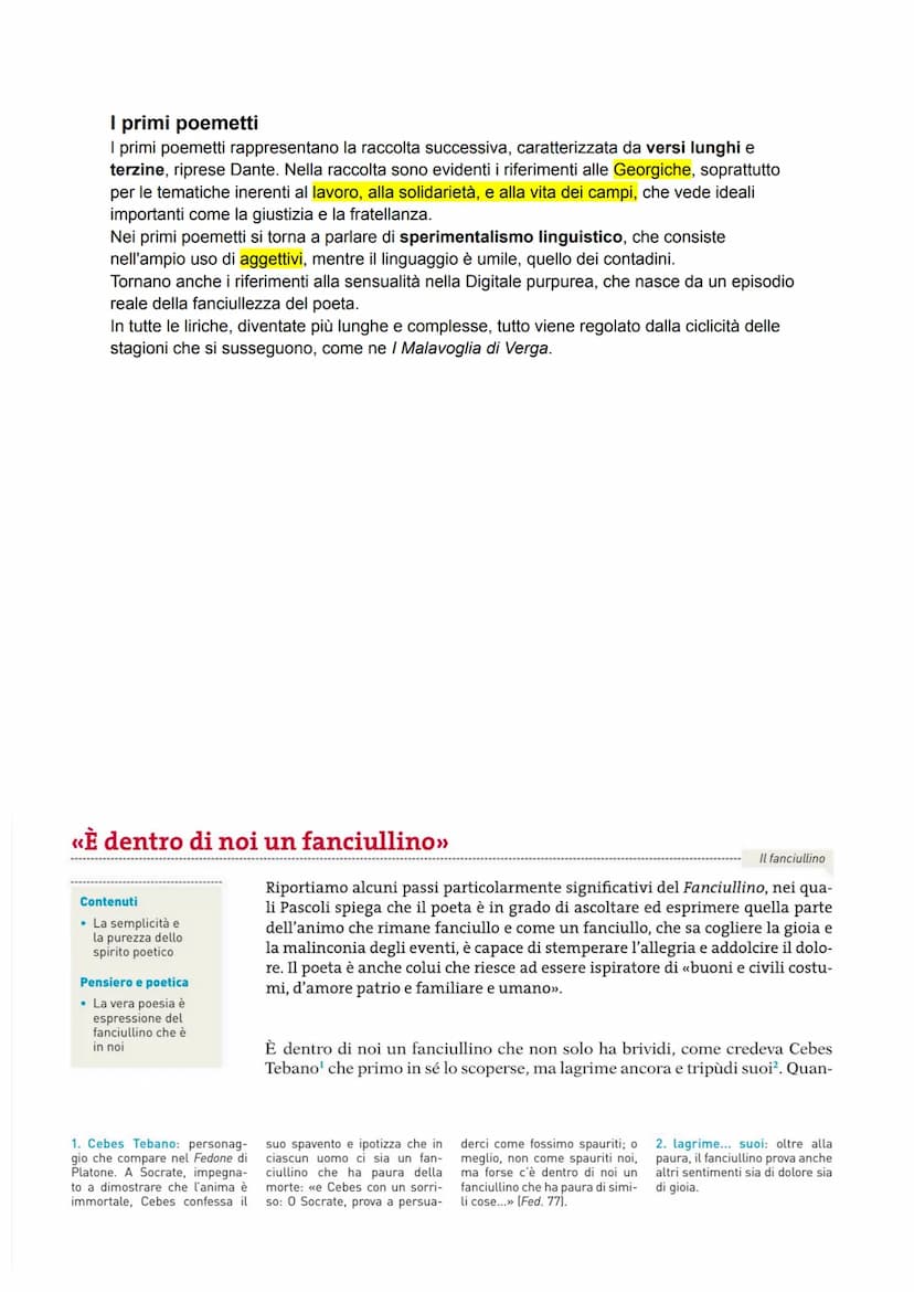 Scapigliatura
La Scapigliatura fu un movimento letterario e culturale che si diffuse nella seconda metà del
1800 in Italia, principalmente a