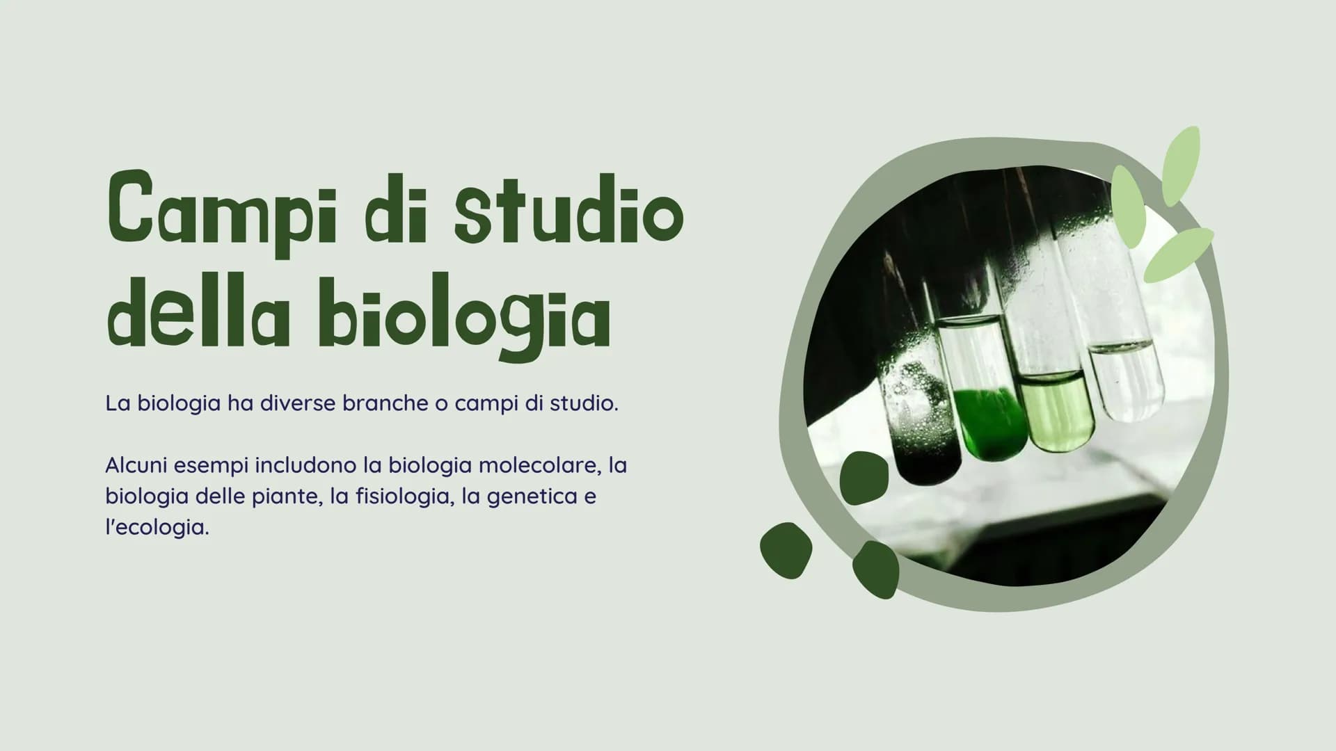 !!!!
La BIOLOGIA
Che cosa è? Benvenuti!
alla presentazione sulla
biologia
Definizione:
La biologia è lo studio
scientifico della vita e degl