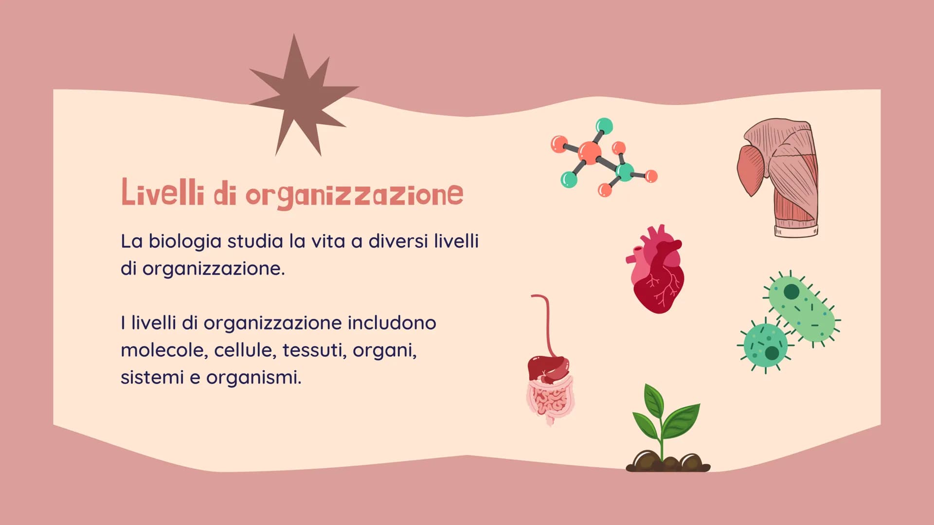 !!!!
La BIOLOGIA
Che cosa è? Benvenuti!
alla presentazione sulla
biologia
Definizione:
La biologia è lo studio
scientifico della vita e degl