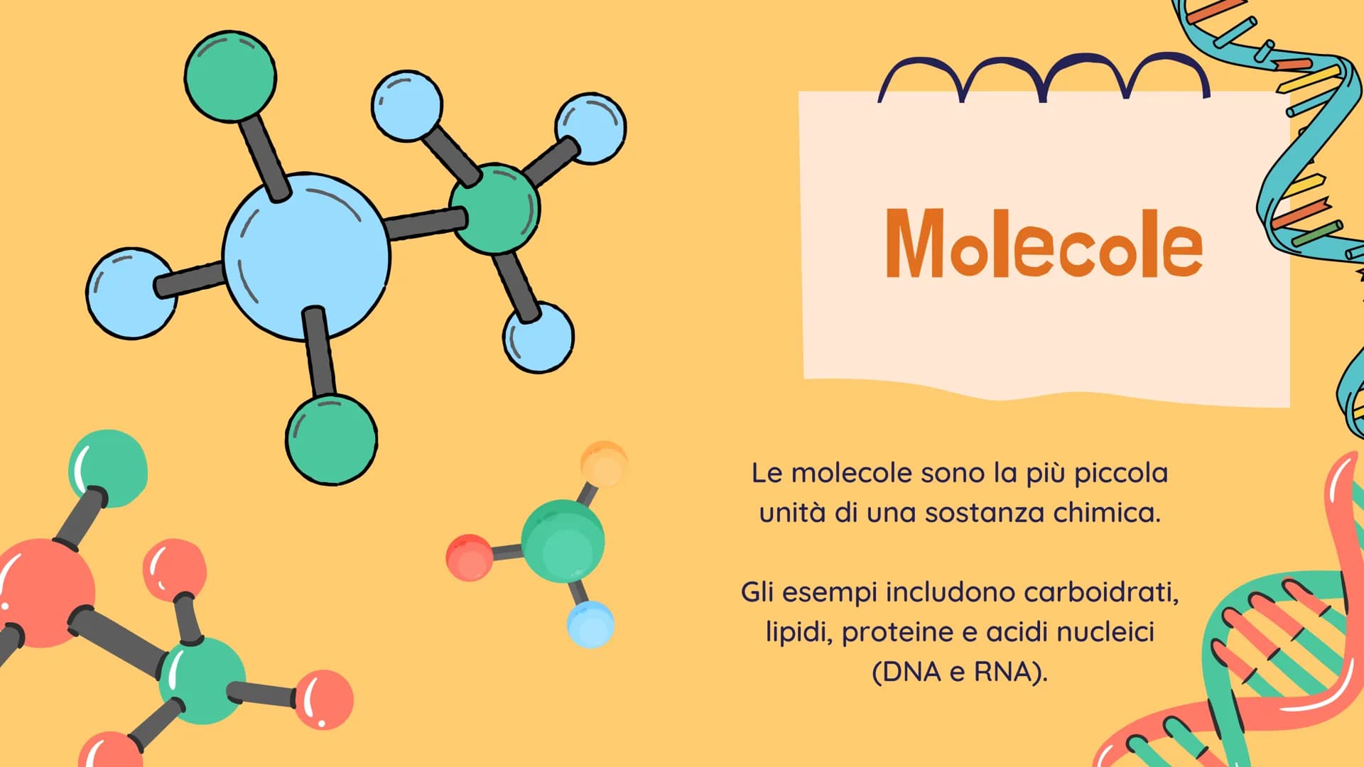 !!!!
La BIOLOGIA
Che cosa è? Benvenuti!
alla presentazione sulla
biologia
Definizione:
La biologia è lo studio
scientifico della vita e degl