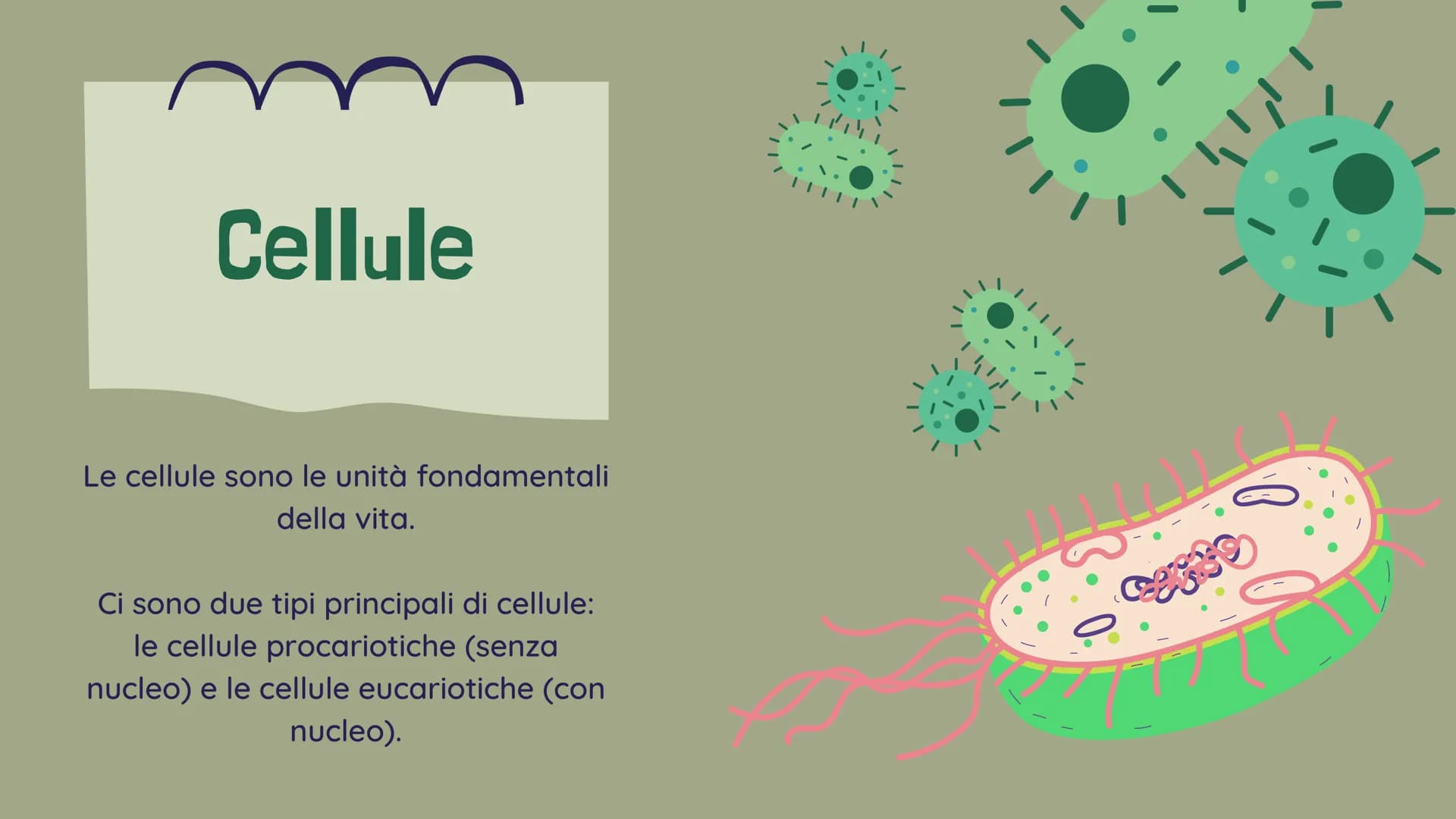 !!!!
La BIOLOGIA
Che cosa è? Benvenuti!
alla presentazione sulla
biologia
Definizione:
La biologia è lo studio
scientifico della vita e degl