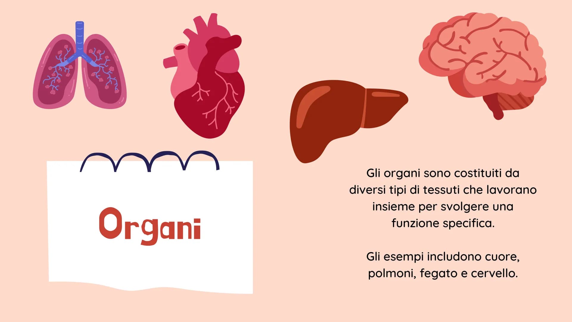 !!!!
La BIOLOGIA
Che cosa è? Benvenuti!
alla presentazione sulla
biologia
Definizione:
La biologia è lo studio
scientifico della vita e degl