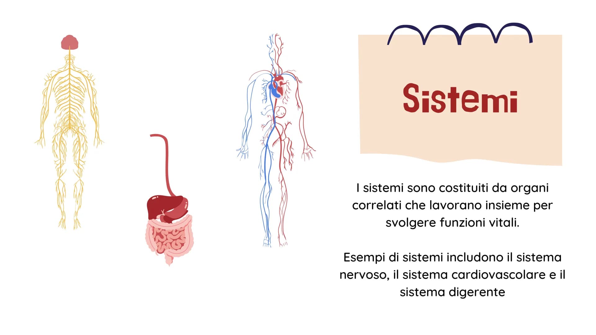 !!!!
La BIOLOGIA
Che cosa è? Benvenuti!
alla presentazione sulla
biologia
Definizione:
La biologia è lo studio
scientifico della vita e degl