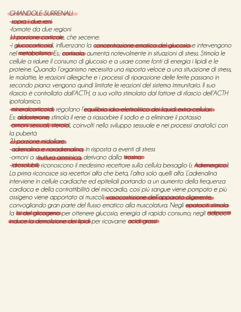 il sistema endocrino
tonve
il sistema endocrino è formato da ghiandole e cellule isolate (es: ormoni tratto digestivo secreti da cellule nel