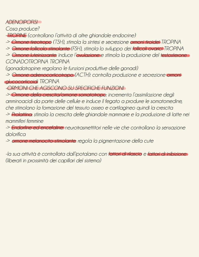 il sistema endocrino
tonve
il sistema endocrino è formato da ghiandole e cellule isolate (es: ormoni tratto digestivo secreti da cellule nel