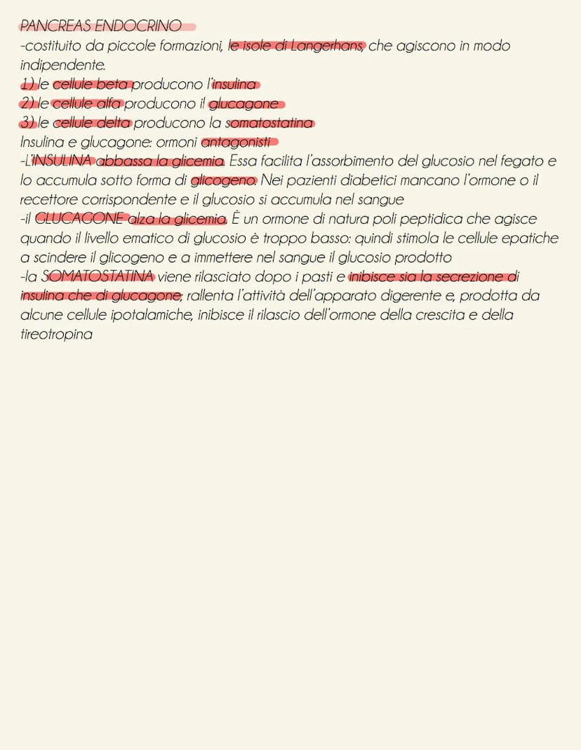 il sistema endocrino
tonve
il sistema endocrino è formato da ghiandole e cellule isolate (es: ormoni tratto digestivo secreti da cellule nel