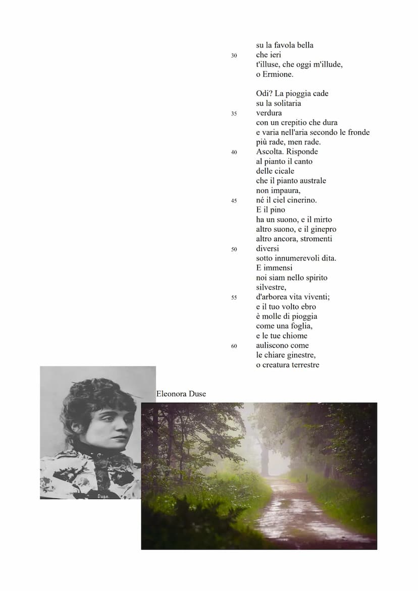 GABRIELE D'ANNUNZIO
La vita:
Nasce a Pescara 1863 da una famiglia borghese.
Prato: frequenta un collegio prestigioso e consegue la maturità
