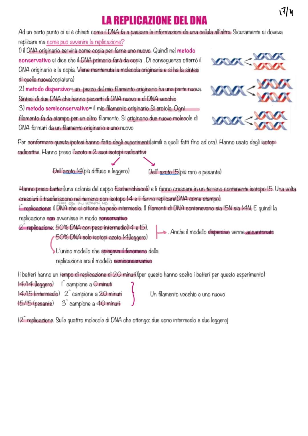 Replicazione del DNA: Processo e Enzimi