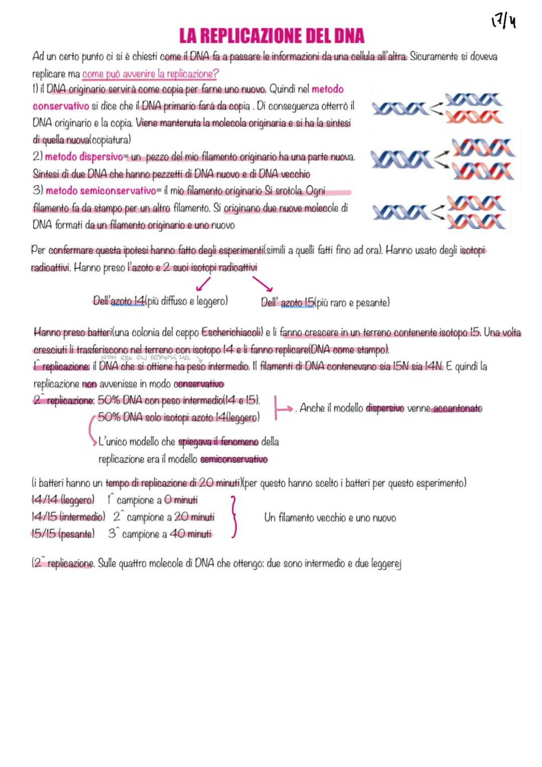 LA REPLICAZIONE DEL DNA
Ad un certo punto ci si è chiesti come il DNA fa a passare le informazioni da una cellula all'altra. Sicuramente si 