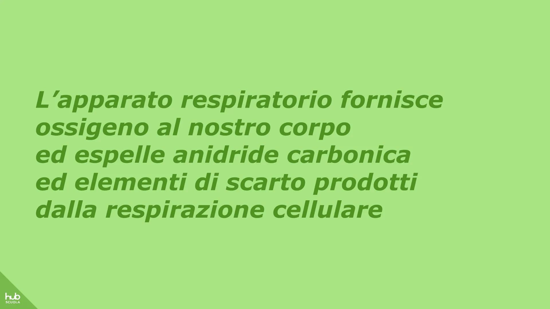 hub
SCUOLA
L'apparato
respiratorio hub
SCUOLA
L'apparato respiratorio fornisce
ossigeno al nostro corpo
ed espelle anidride carbonica
ed ele