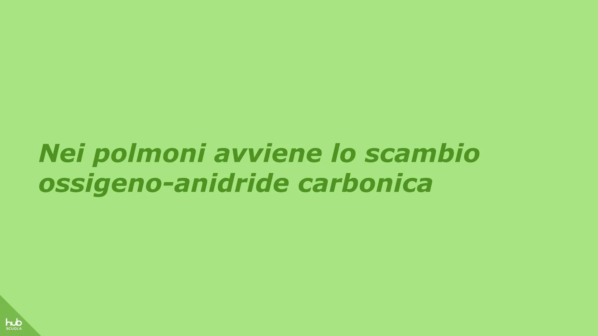 hub
SCUOLA
L'apparato
respiratorio hub
SCUOLA
L'apparato respiratorio fornisce
ossigeno al nostro corpo
ed espelle anidride carbonica
ed ele