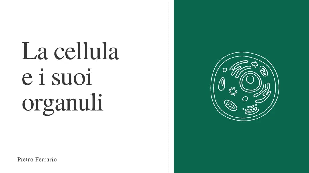 La cellula