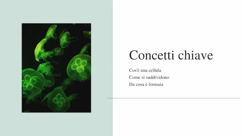 La cellula
e i suoi
organuli
Pietro Ferrario
y Concetti chiave
Cos'è una cellula
Come si suddividono
Da cosa è formata Cos'è la cellula?
La 