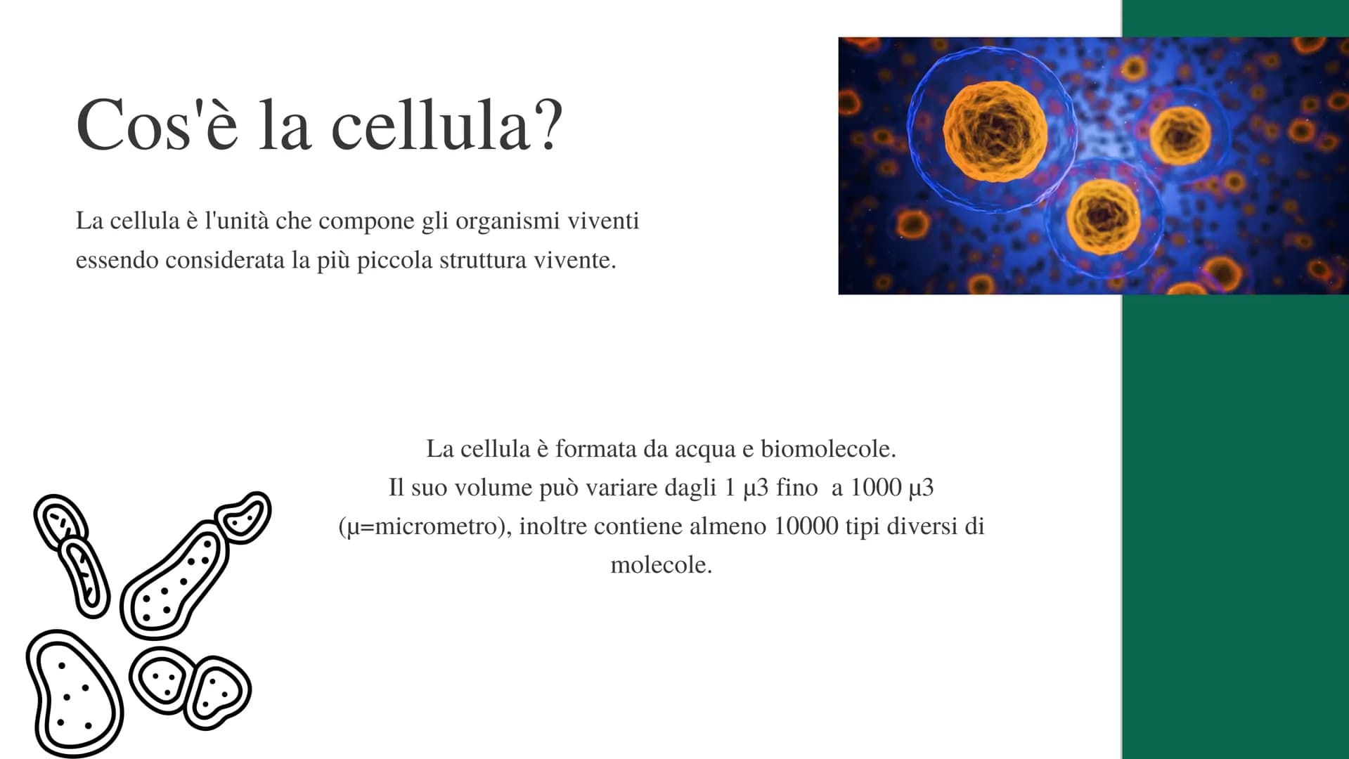 La cellula
e i suoi
organuli
Pietro Ferrario
y Concetti chiave
Cos'è una cellula
Come si suddividono
Da cosa è formata Cos'è la cellula?
La 